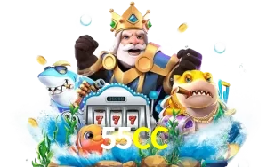 55CC